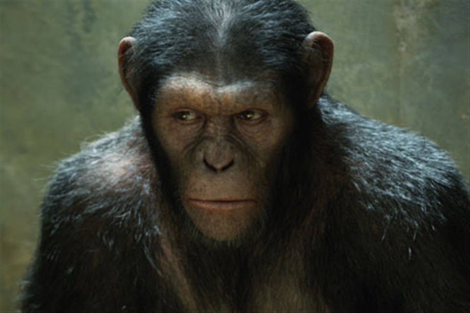 Rise of the Planet of the Apes - What2Watch