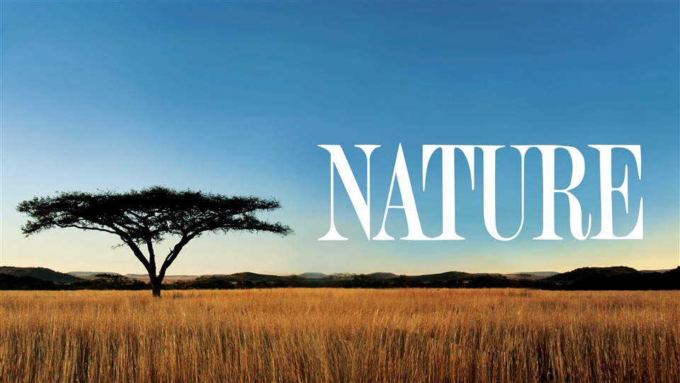 Nature - What2Watch