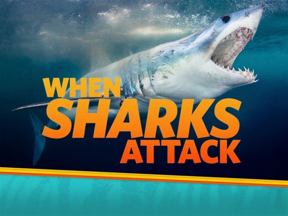 When Sharks Attack - What2Watch