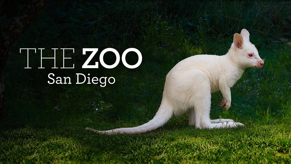 The Zoo: San Diego - What2Watch