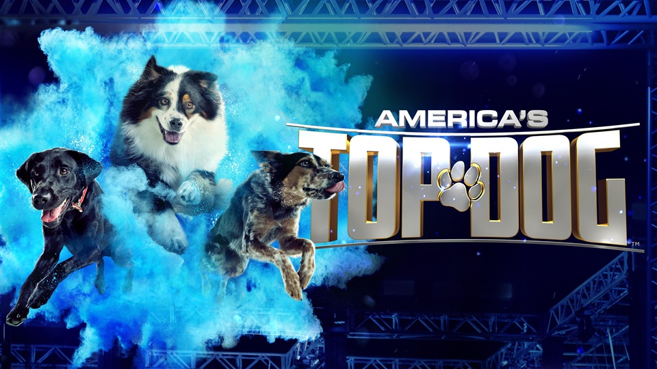 America's Top Dog - What2Watch