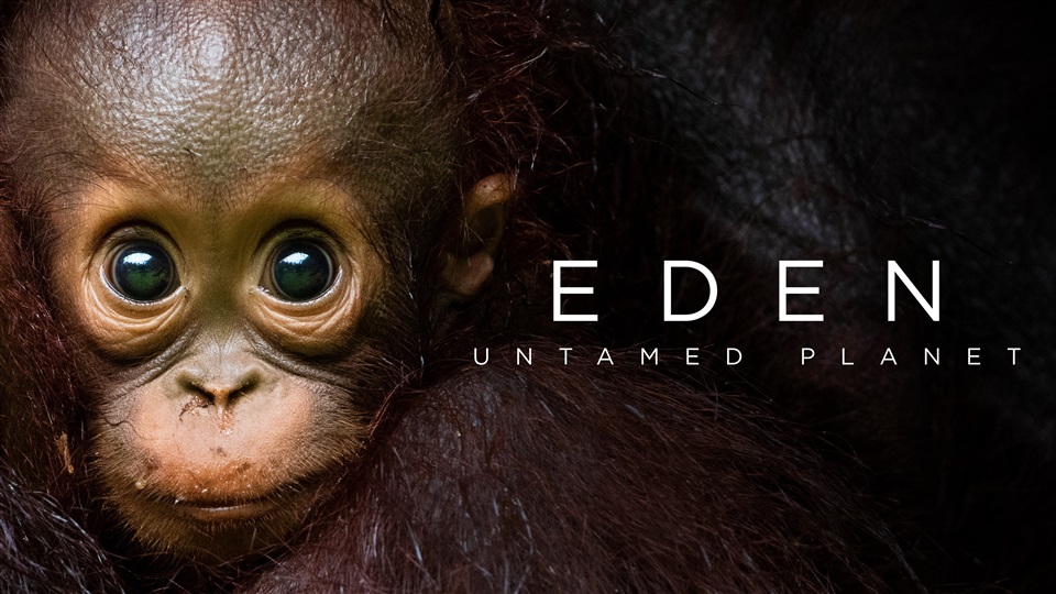 Eden: Untamed Planet - What2Watch