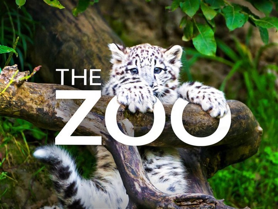 The Zoo - What2Watch